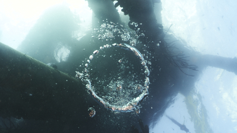 Luftring unter dem Salt Pier