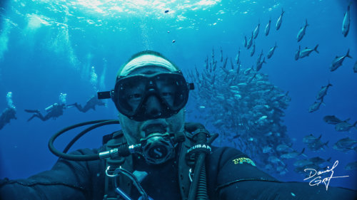 Selfie mit Fischschwarm