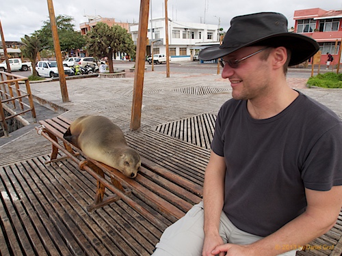 Seelöwe und Dani