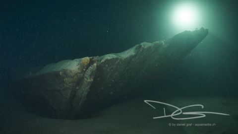 Lediwrack im Gegenlicht, Walensee