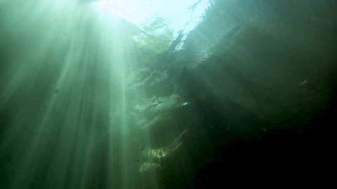 Amslerbecken mit Sonnenstrahlen