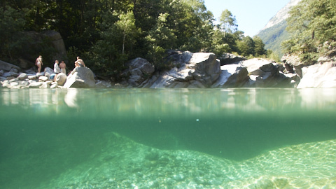 Amslerbecken