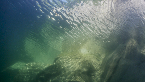 Lichtspiele im Wasser