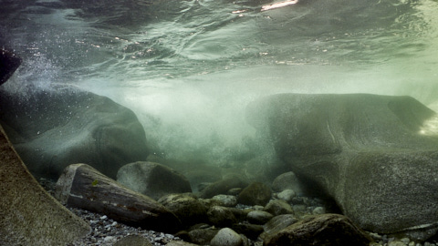 Wildes Wasser